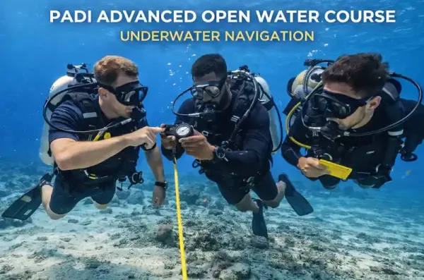 scuba diving in phuket – Unforgettable Scuba Diving in Phuket with Expert Dive Teams