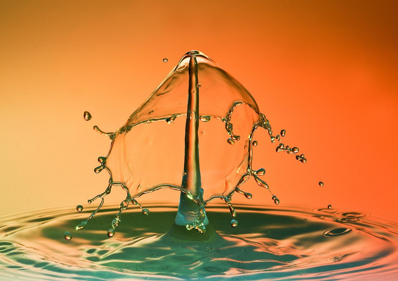 Drops, water, fluid — Tracking Referral Earnings in Real-Time